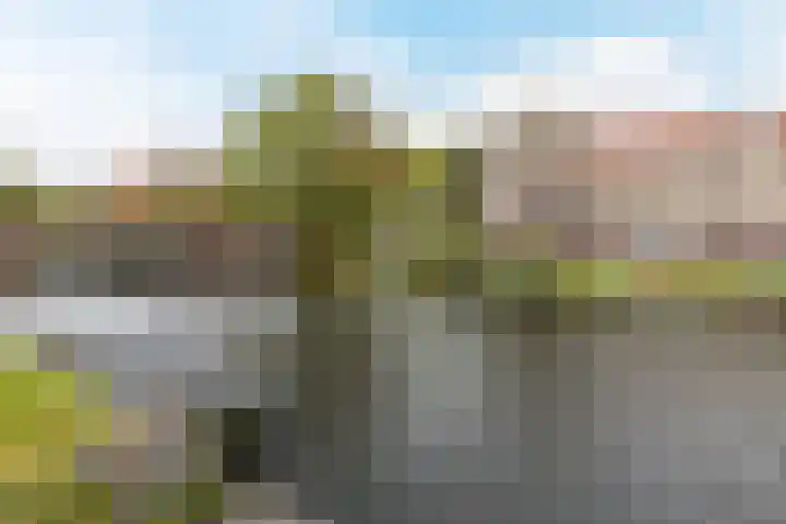 Elisabethtuinen 39 Alkmaar thumbnail 39