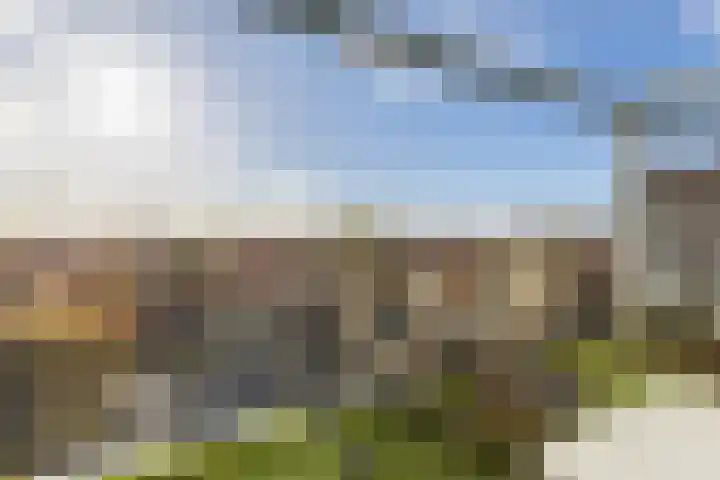 Elisabethtuinen 39 Alkmaar thumbnail 4