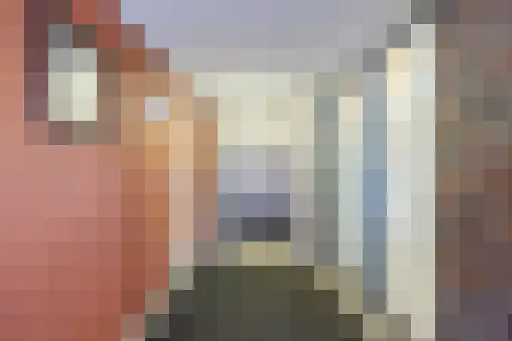 Elisabethtuinen 39 Alkmaar thumbnail 7