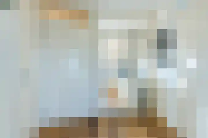 Elisabethtuinen 39 Alkmaar thumbnail 9