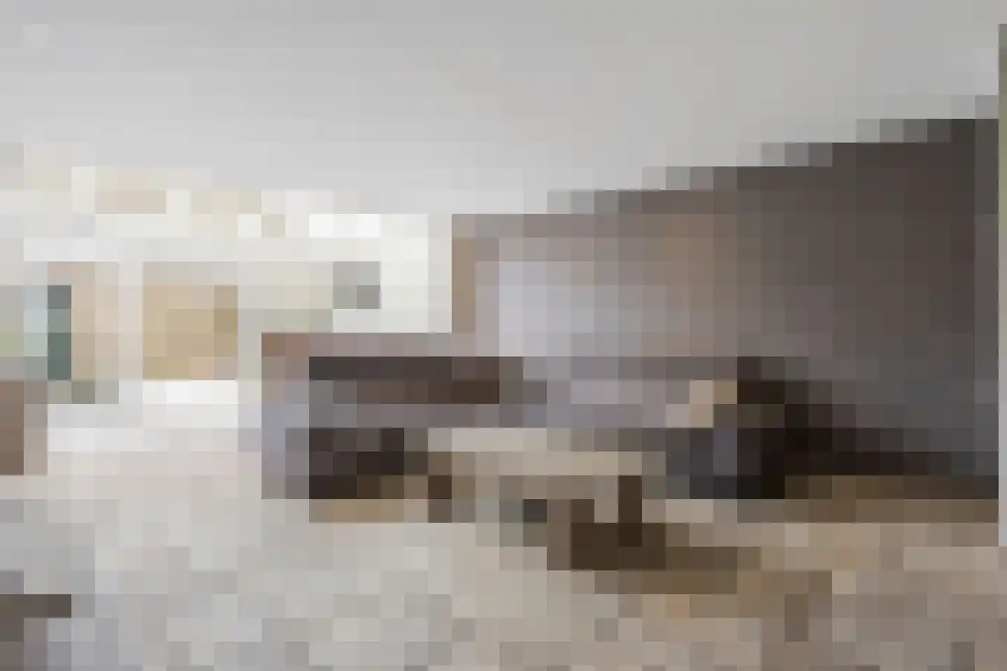 Elisabethvloed 15 Honselersdijk thumbnail 10