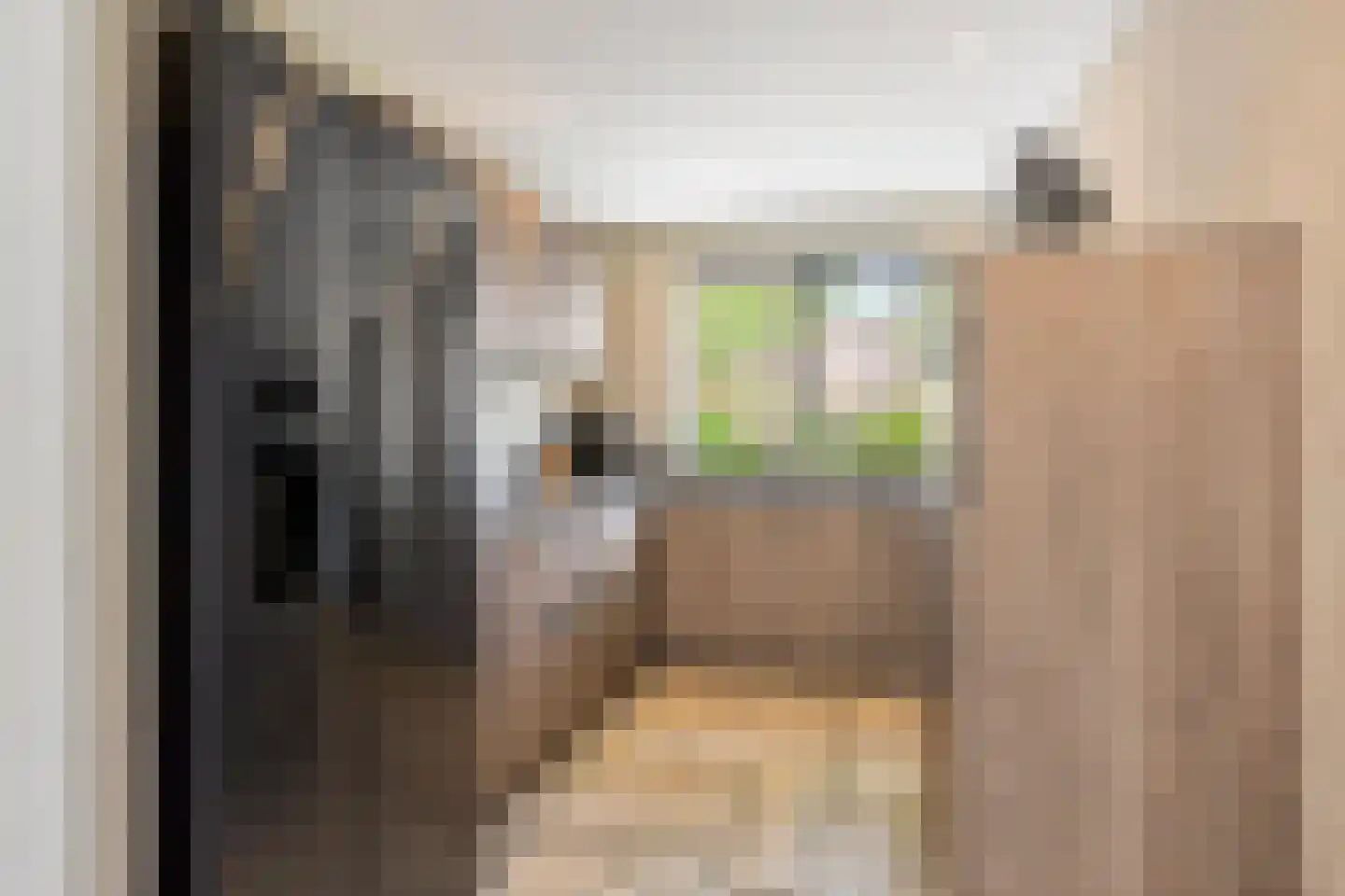 Elisabethvloed 15 Honselersdijk thumbnail 14