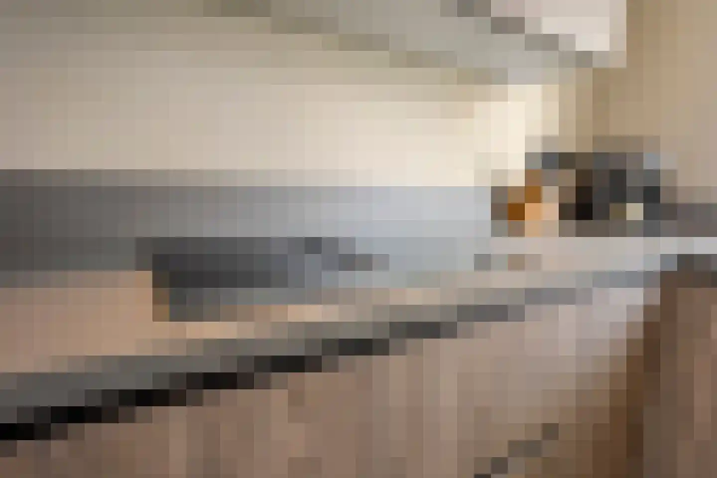 Elisabethvloed 15 Honselersdijk thumbnail 15