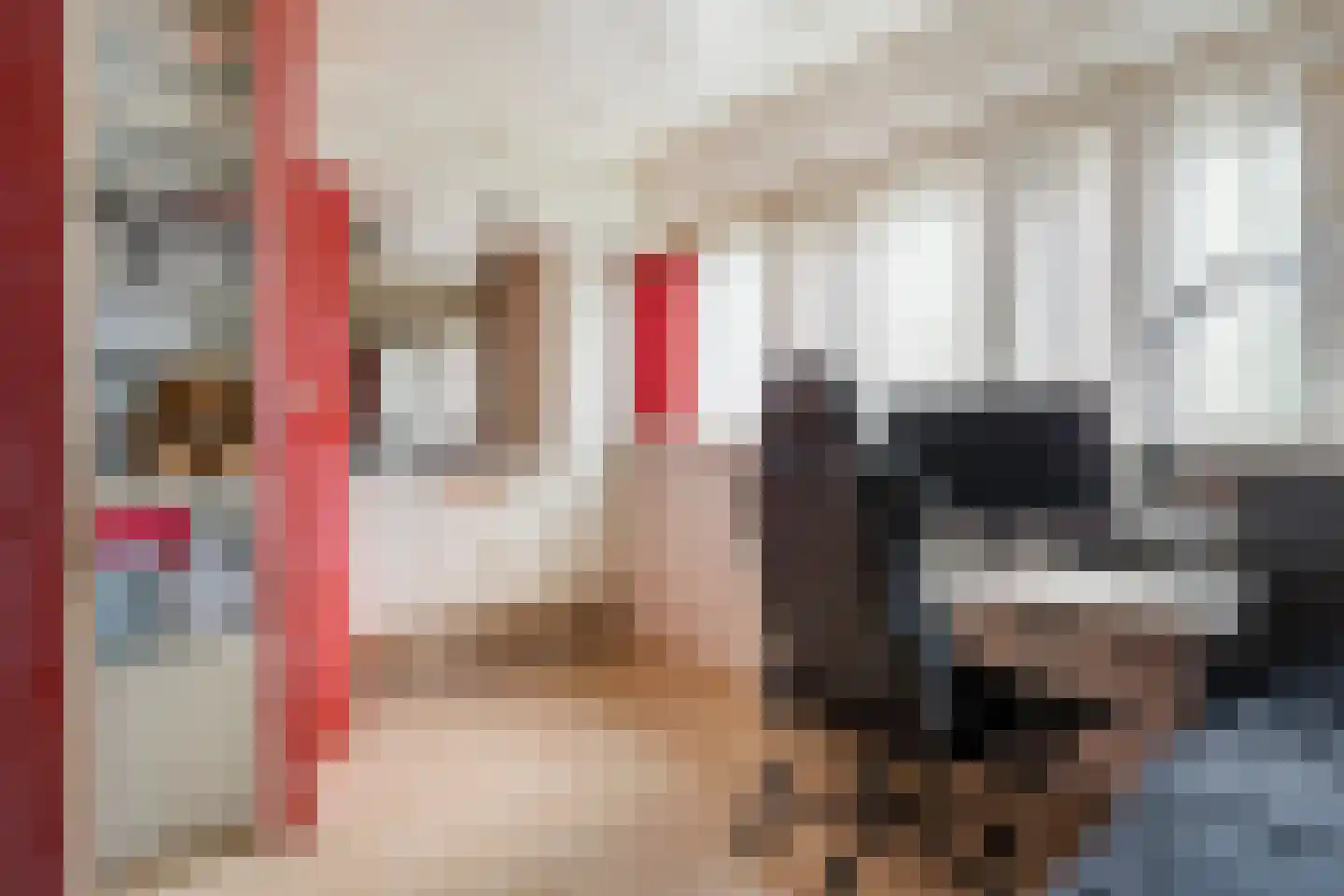 Elisabethvloed 15 Honselersdijk thumbnail 27