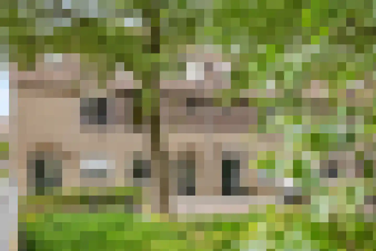 Elisabethvloed 15 Honselersdijk thumbnail 34
