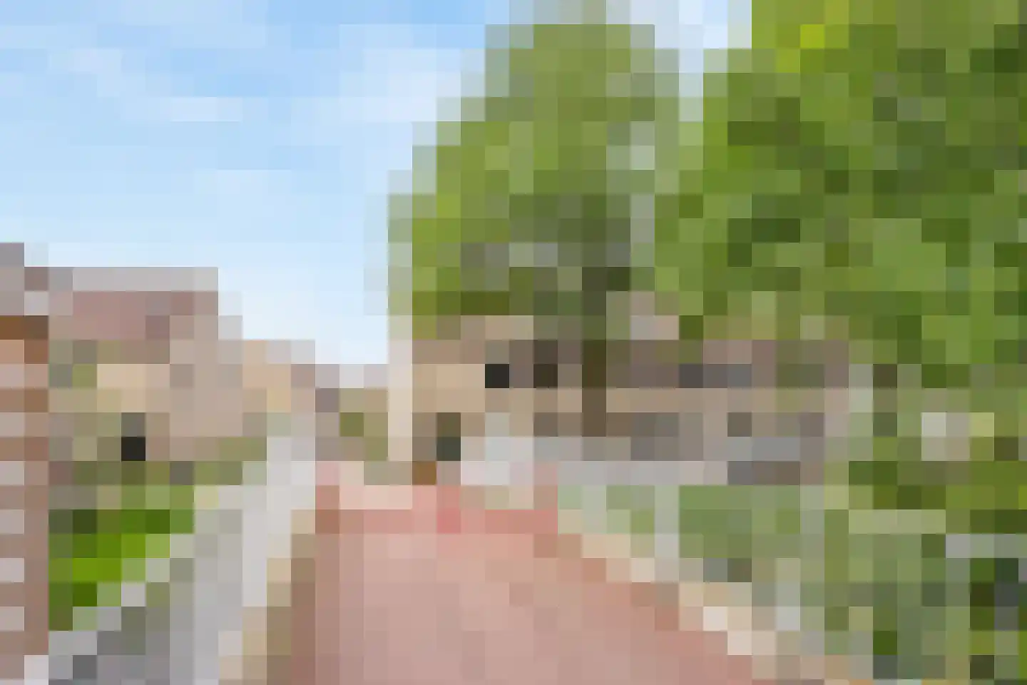 Elisabethvloed 15 Honselersdijk thumbnail 35