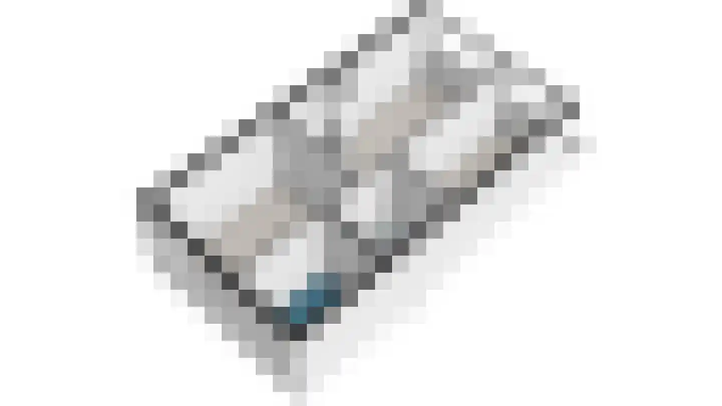 Elisabethvloed 15 Honselersdijk thumbnail 42
