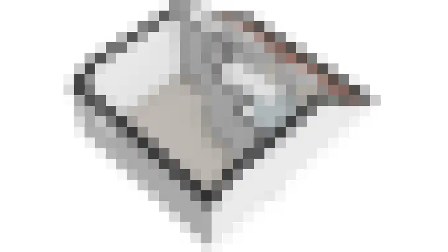 Elisabethvloed 15 Honselersdijk thumbnail 44