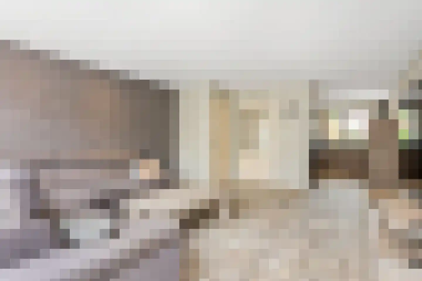 Elisabethvloed 15 Honselersdijk thumbnail 6