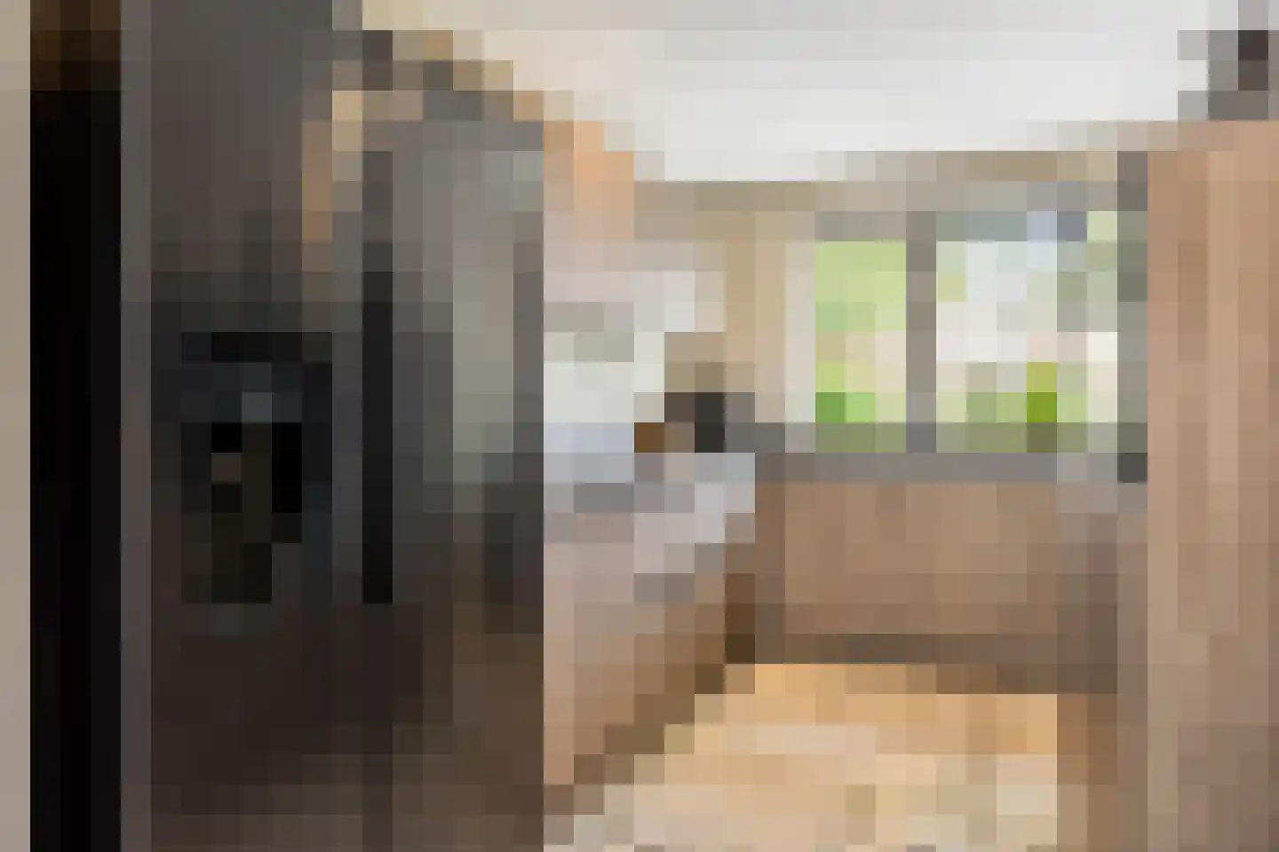 Elisabethvloed 15 Honselersdijk thumbnail 7