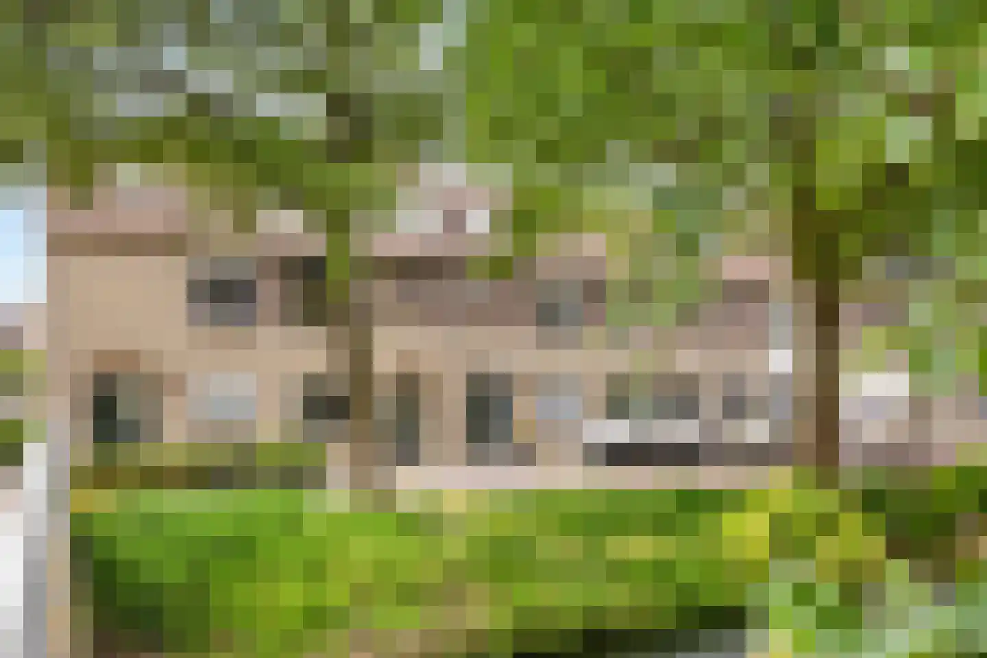 Elisabethvloed 15 Honselersdijk thumbnail 9