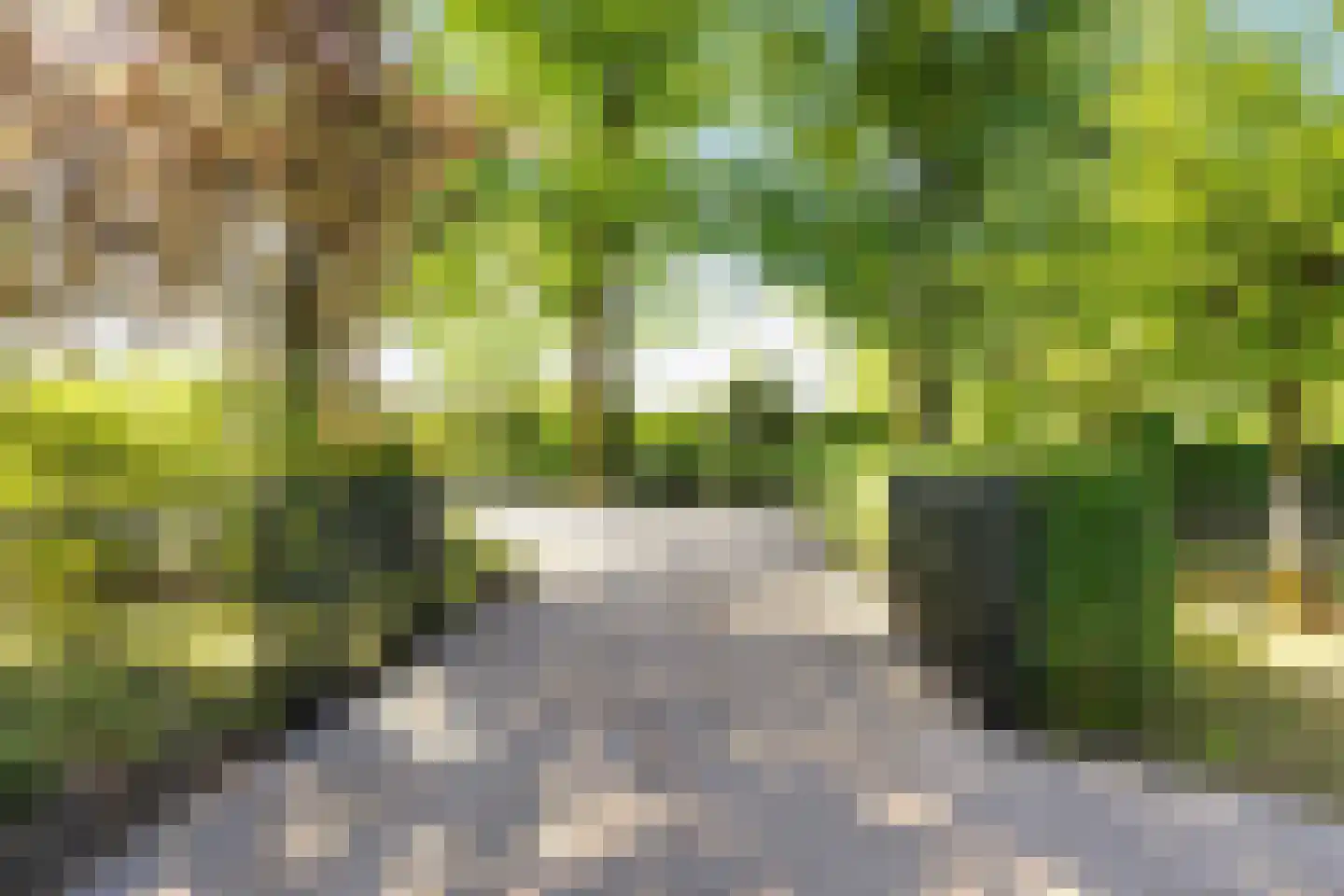 Elisabethweg 12 Hoenderloo thumbnail 10