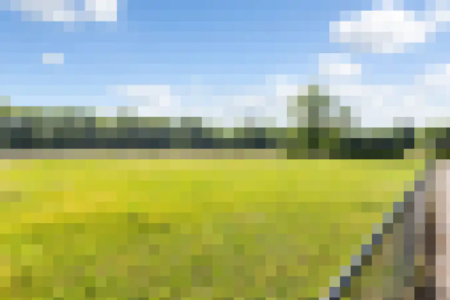 Elisabethweg 12 Hoenderloo thumbnail 14