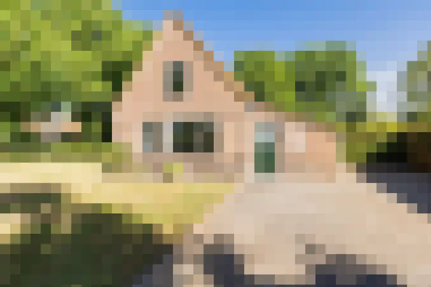 Elisabethweg 12 Hoenderloo thumbnail 18