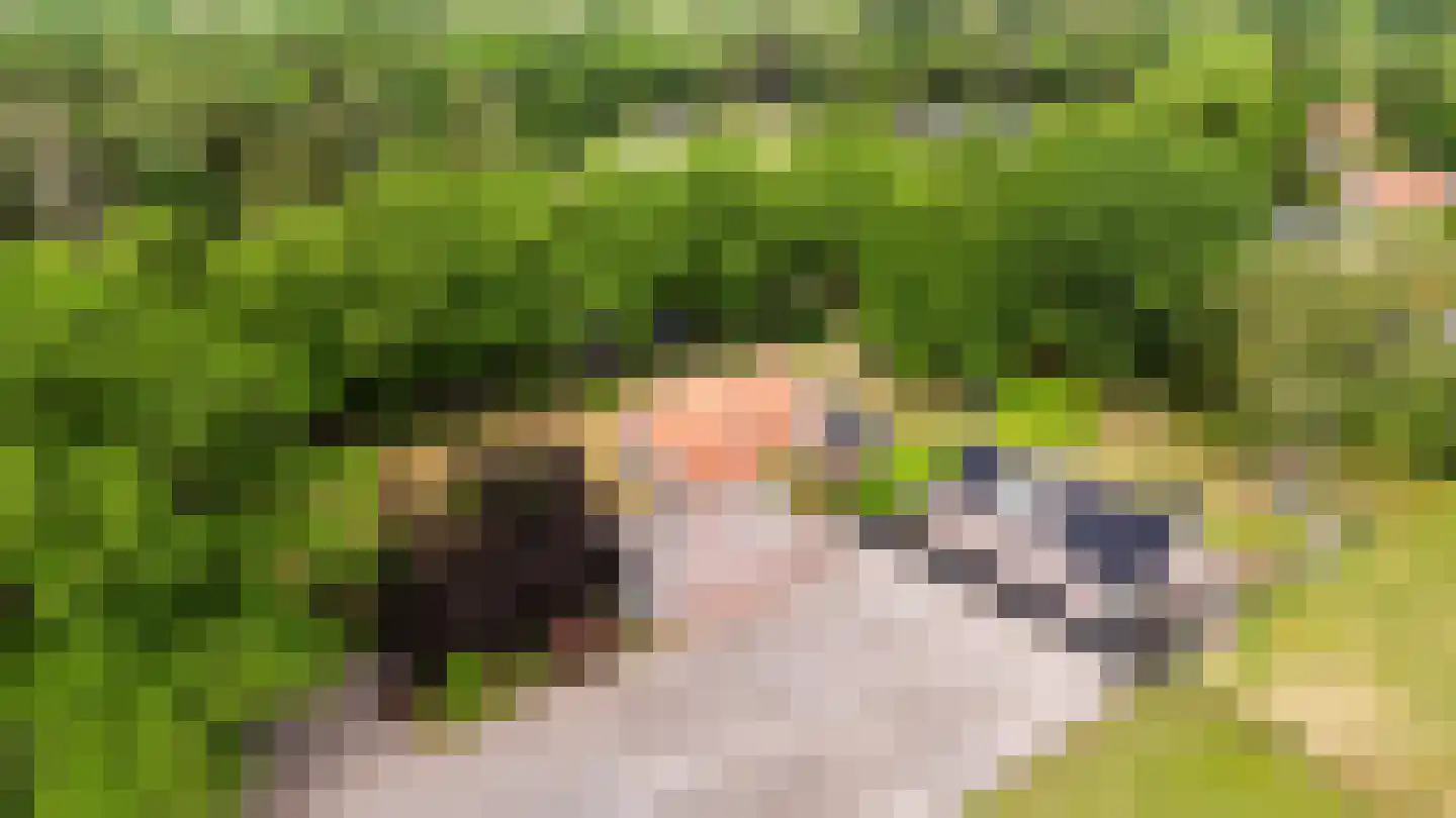 Elisabethweg 12 Hoenderloo thumbnail 42
