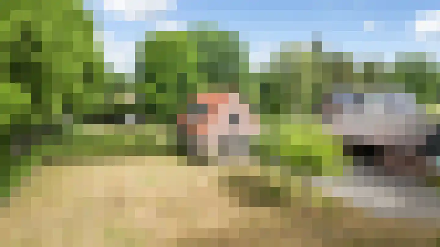 Elisabethweg 12 Hoenderloo thumbnail 46