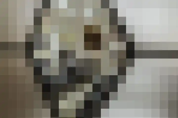 Elisadonk 192 Roosendaal thumbnail 11