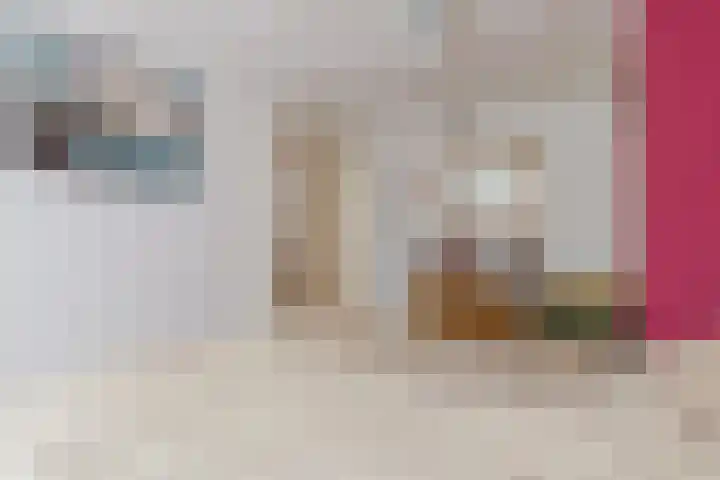 Elisadonk 192 Roosendaal thumbnail 21