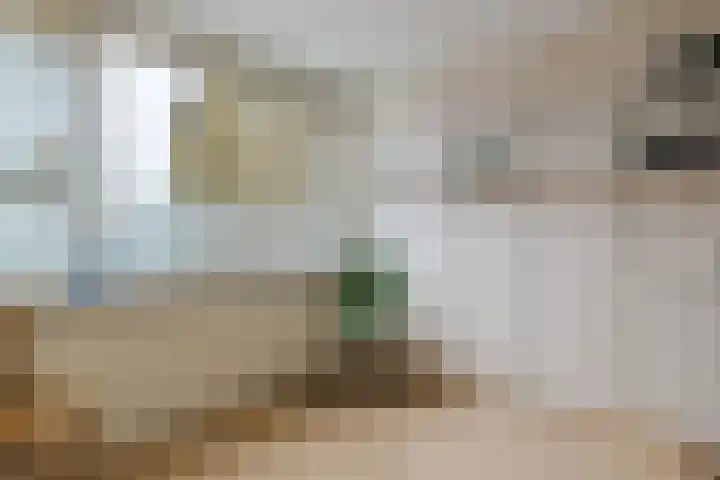 Elisadonk 192 Roosendaal thumbnail 25