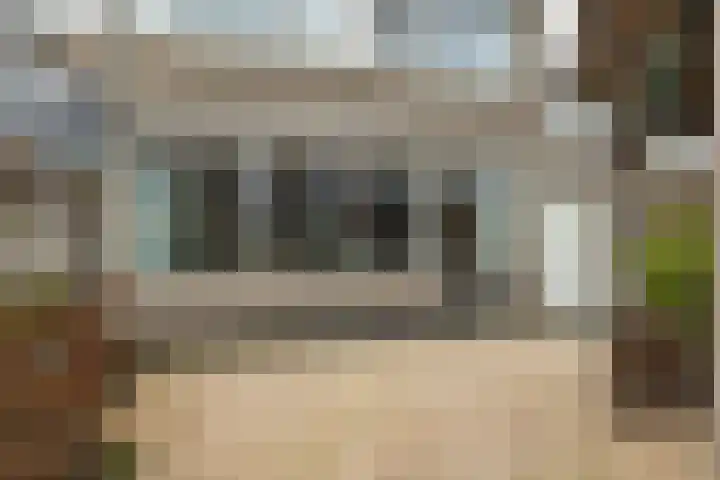 Elisadonk 192 Roosendaal thumbnail 33