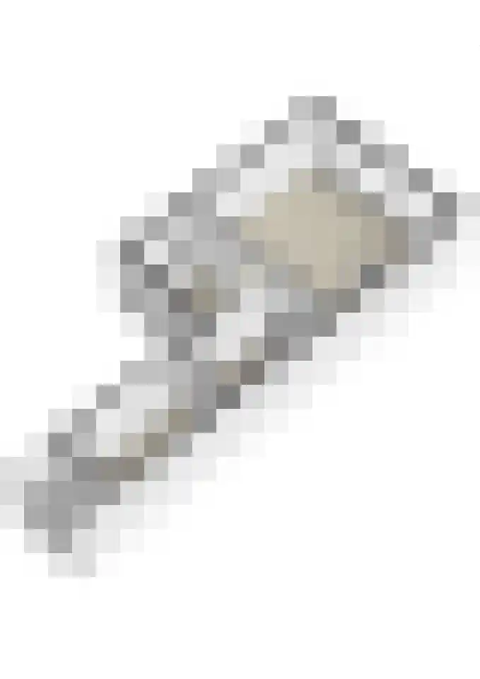 Elisadonk 192 Roosendaal thumbnail 39