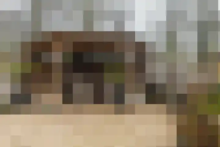 Elisadonk 192 Roosendaal thumbnail 4
