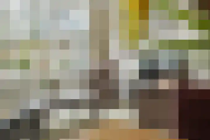 Elisadonk 192 Roosendaal thumbnail 8