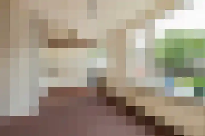 Elisadonk 208 Roosendaal thumbnail 12