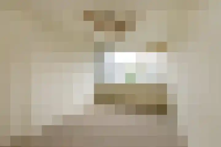 Elisadonk 208 Roosendaal thumbnail 17