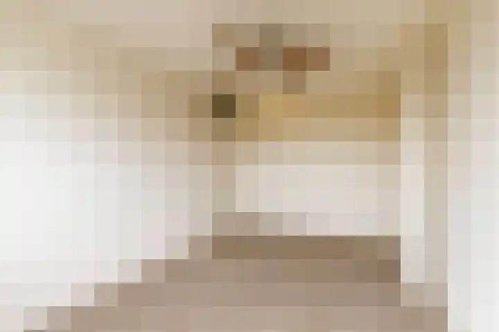 Elisadonk 208 Roosendaal thumbnail 18