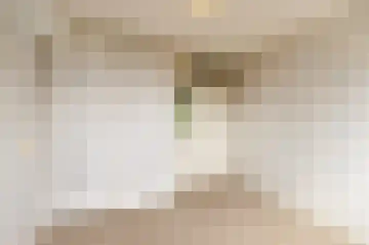 Elisadonk 208 Roosendaal thumbnail 20