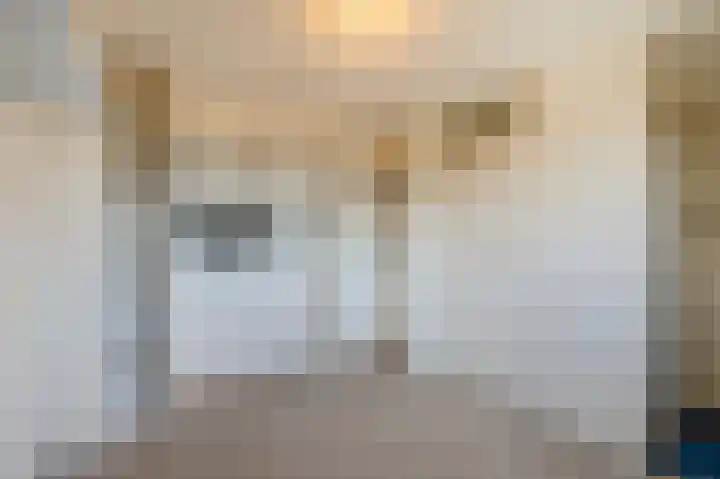 Elisadonk 208 Roosendaal thumbnail 22