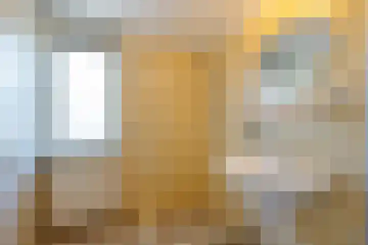 Elisadonk 208 Roosendaal thumbnail 23