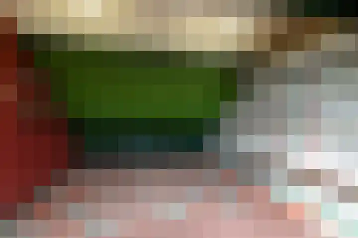 Elisadonk 208 Roosendaal thumbnail 28