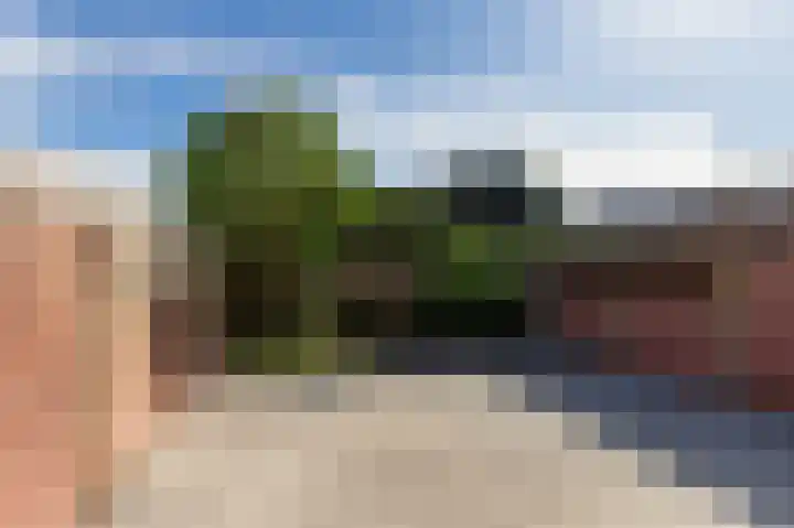 Elisadonk 208 Roosendaal thumbnail 29