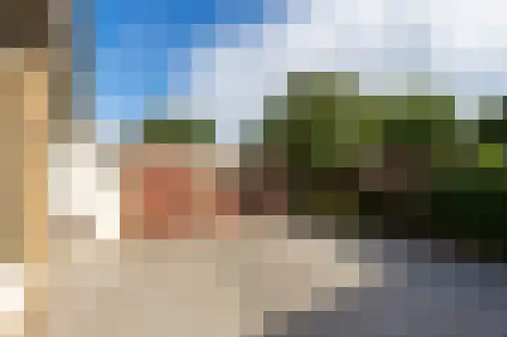 Elisadonk 208 Roosendaal thumbnail 30