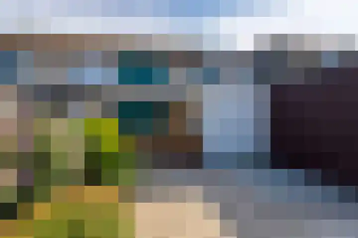 Elisadonk 208 Roosendaal thumbnail 32