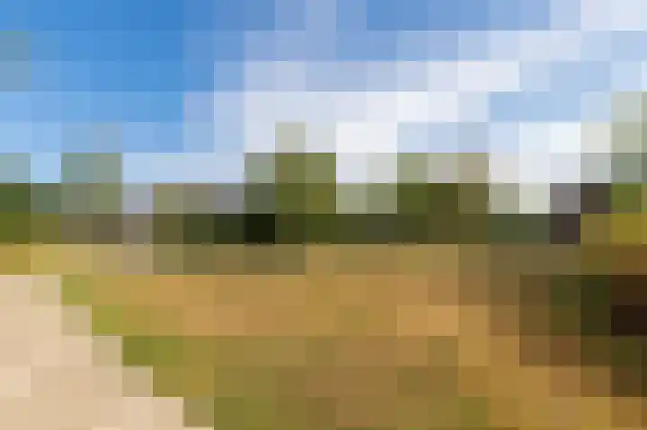 Elisadonk 208 Roosendaal thumbnail 37