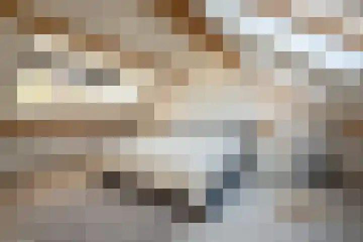 Elisadonk 253 Roosendaal thumbnail 28