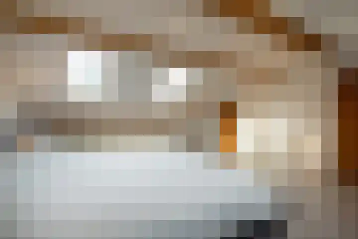 Elisadonk 253 Roosendaal thumbnail 29
