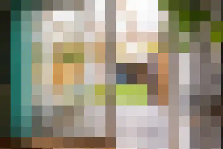 Elisadonk 253 Roosendaal thumbnail 30