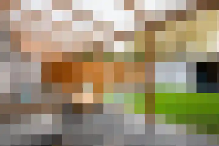 Elisadonk 253 Roosendaal thumbnail 31