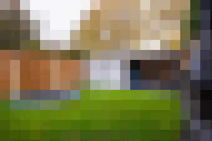 Elisadonk 253 Roosendaal thumbnail 32