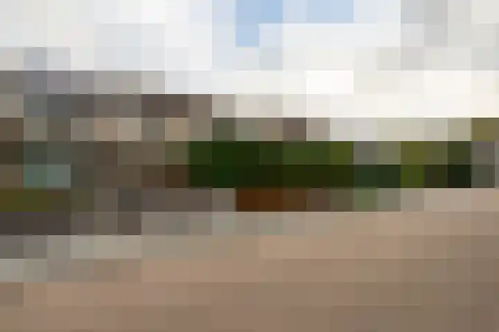 Elisadonk 253 Roosendaal thumbnail 34