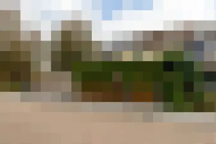 Elisadonk 253 Roosendaal thumbnail 35
