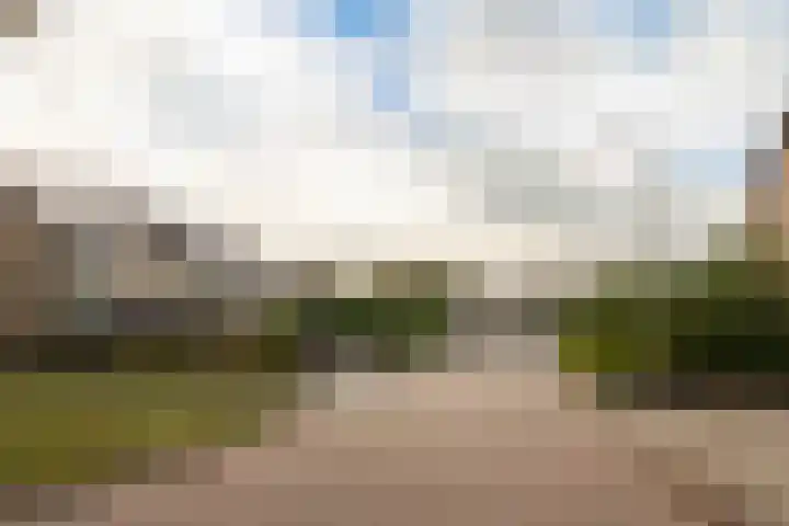 Elisadonk 253 Roosendaal thumbnail 36