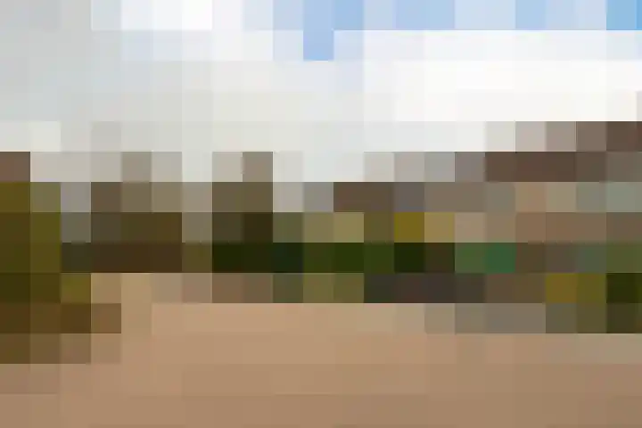 Elisadonk 253 Roosendaal thumbnail 37