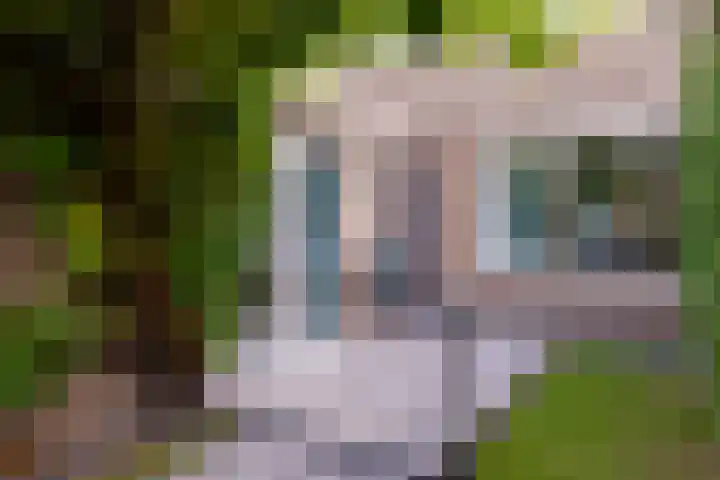Elisadonk 253 Roosendaal thumbnail 4