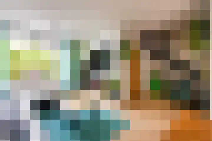 Elisadonk 253 Roosendaal thumbnail 6