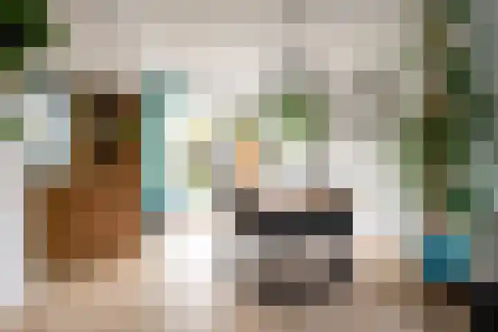 Elisadonk 253 Roosendaal thumbnail 9